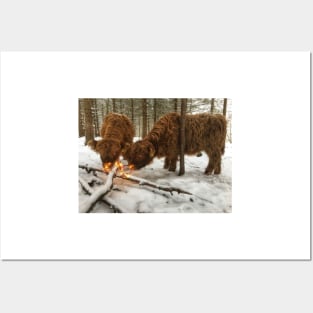 Scottish Highland Cattle Calves 1875 Posters and Art